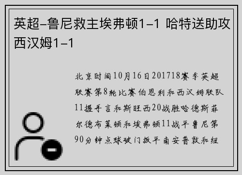英超-鲁尼救主埃弗顿1-1 哈特送助攻西汉姆1-1