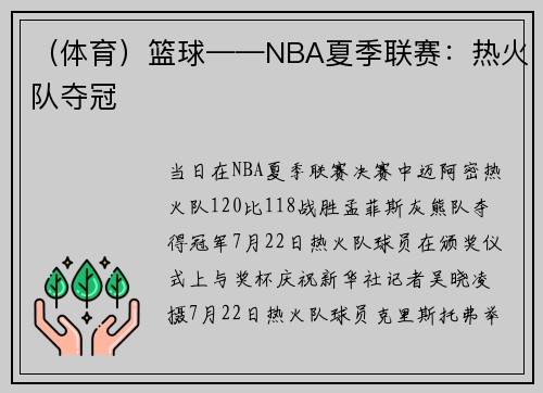 （体育）篮球——NBA夏季联赛：热火队夺冠